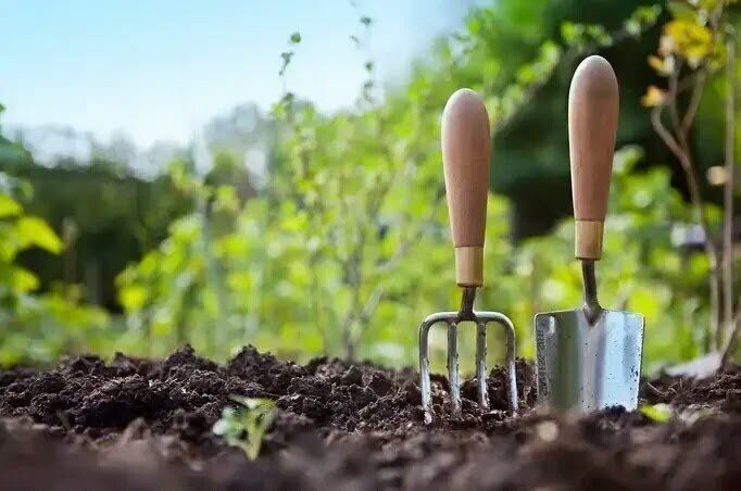 ���� �������� ������: ����� ��������� �� ����� ������������ ������ �������