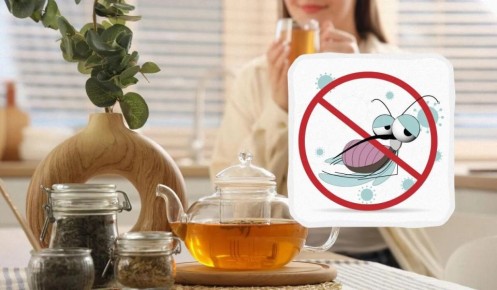 ������� �����: ��� ���������� �� ��������� � ���� � ������� ���������