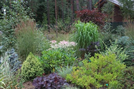 ��� ����� ������ ������������ ����� ��� ������ ����?