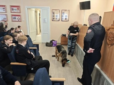 � ������ ���������� ������������� ��������� ������ ������������ ���� �������� ������