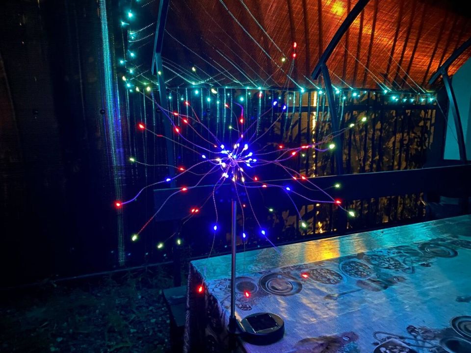 ��� ����������� ������� ���� � ���������� ���