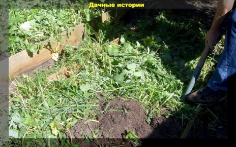 ����������� ��������: ��� ����� ����� ��� ��������� ������