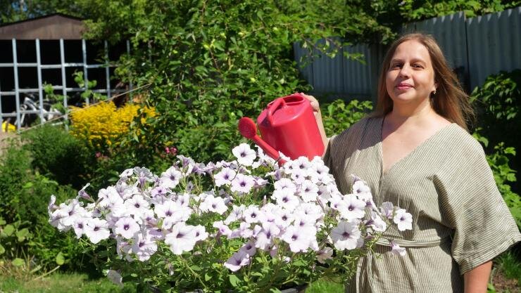 Идеальные советы по подкормке петуний для яркого цветения