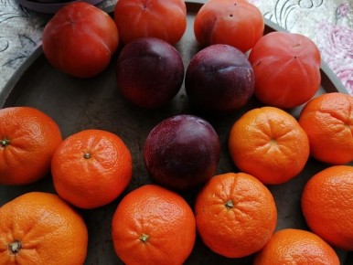 ��� �������� ������� ������ ���� ����� ���