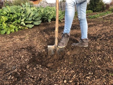 ������ ������� ��������� ������� � ��� ������ ���������