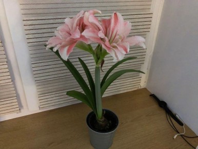 ���������� ���������: ��� ���������� ��������� �� �������������