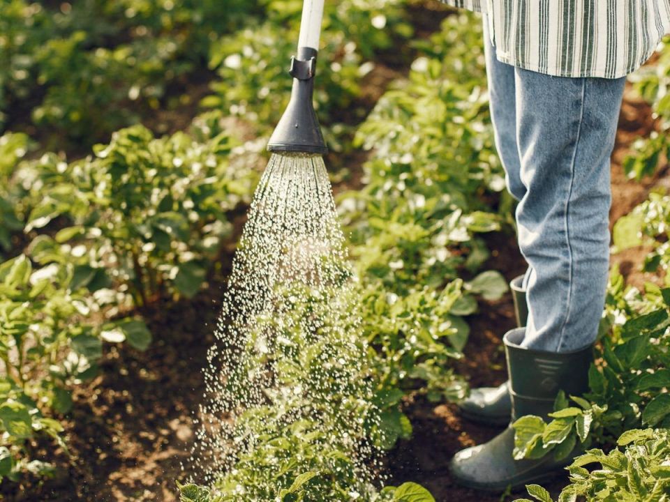 ��� �� ������� ������� ��������� �����: ����� ������ � �������� �����������