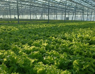 �� ������������ ��������� ���������� ��������� ������������������ ����� �������