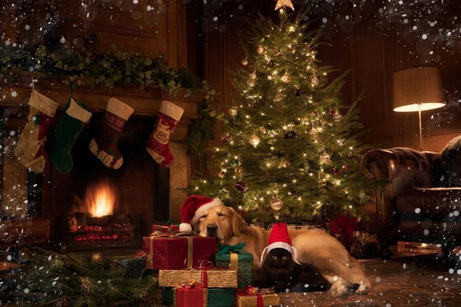 ��� ��������� ���� ������ � ��������� �� ���� ��������?