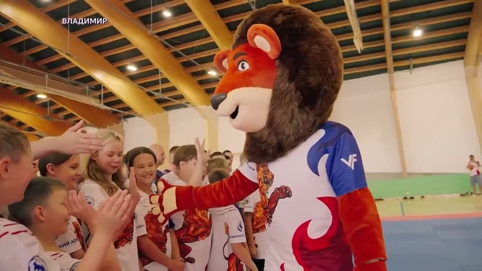 «Добрый Владимир»: Региональная физкультурно-спортивная общественная организация «Федерация Айкидо Владимирской области»