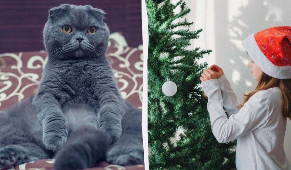 ������ �� ������ �������������� ���� �� ���������� �����