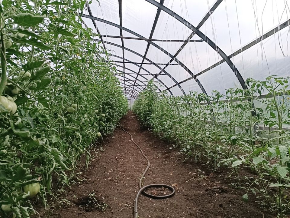 �������������� ������: ���������� ��������� ��� ����� �������