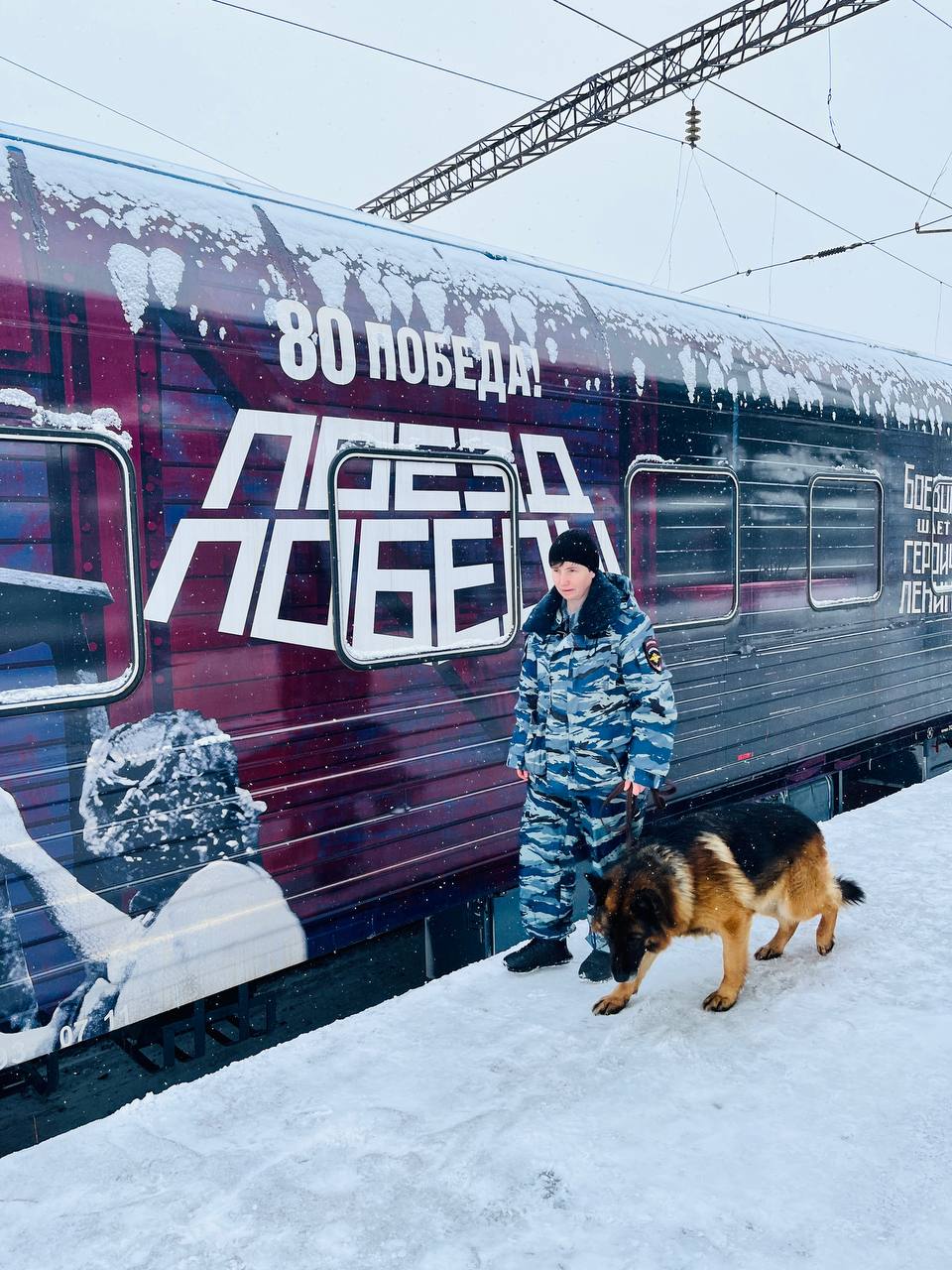 Нижегородские транспортные полицейские обеспечили охрану порядка во время стоянки «Поезда Победы» Нижегородские транспортные полицейские обеспечили охрану порядка во время стоянки «Поезда Победы»