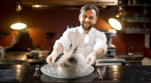 ������������ �������� ����, ������� ������� ���� �����������