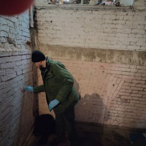 Житель Струнино привлекается к уголовной ответственности за убийство бывшей сожительницы