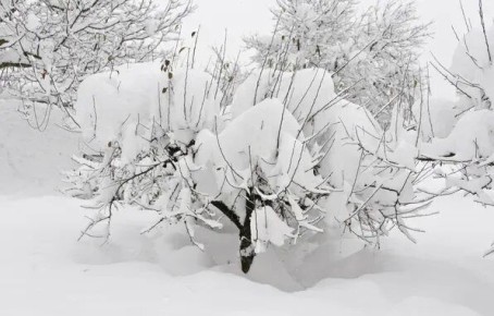 ������� ������ � �������� ��������: ��� ��������� ���������� ����