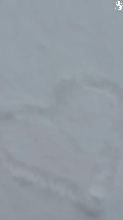 Мы получили это сообщение от жителя нашего города и не смогли устоять, чтобы не выпустить это душевное сообщение