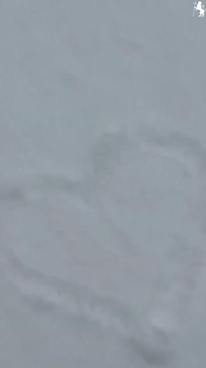 �� �������� ��� ��������� �� ������ ������ ������ � �� ������ �������, ����� �� ��������� ��� �������� ���������