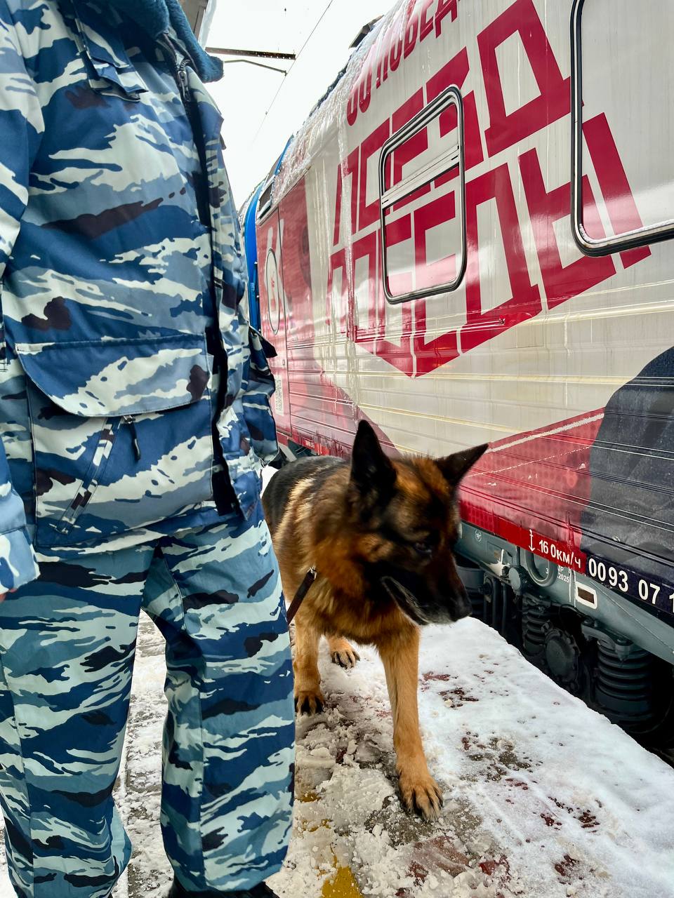 Нижегородские транспортные полицейские обеспечили охрану порядка во время стоянки «Поезда Победы» Нижегородские транспортные полицейские обеспечили охрану порядка во время стоянки «Поезда Победы»