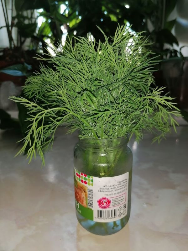 ������� ����������� �������� ���������: ��� ��������� �������� ����� ���