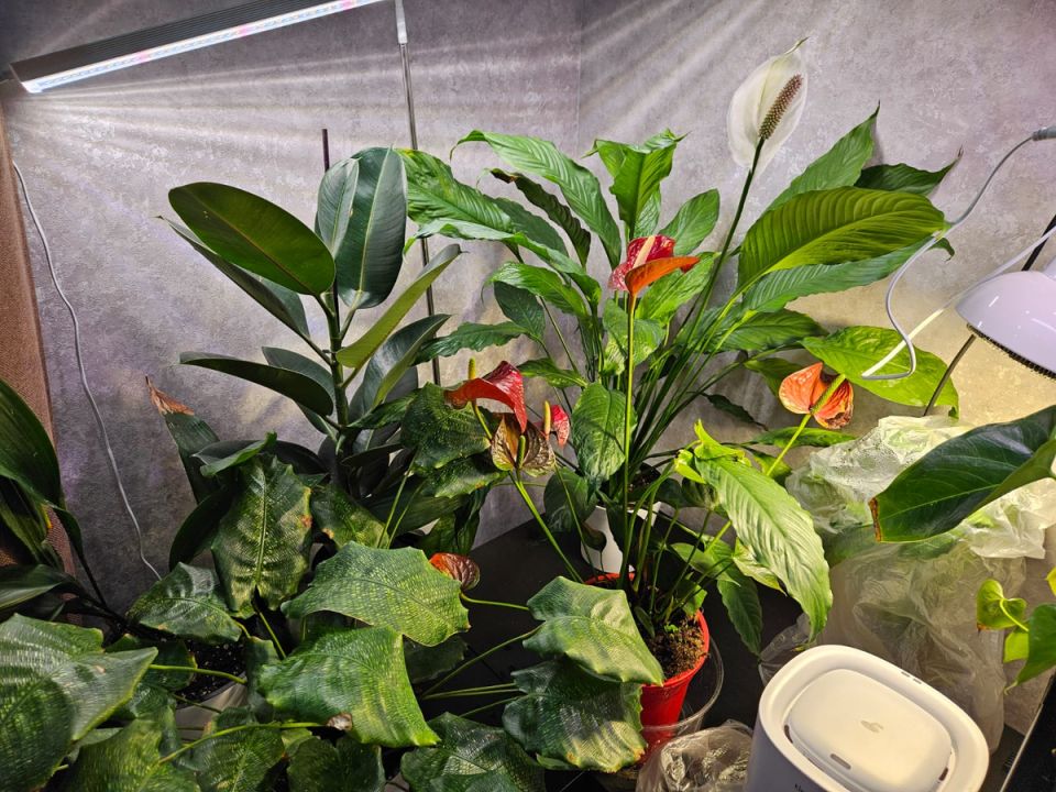 ������� ����� �� ���������� ����������: 7 ��������� ������� ��� ���������� ����������