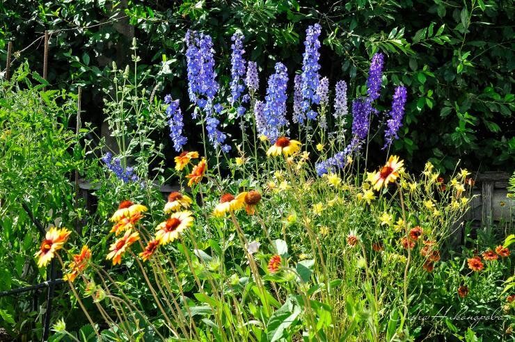 ������ ���� � ��������� ����: ��� ������ � ������ �� �������