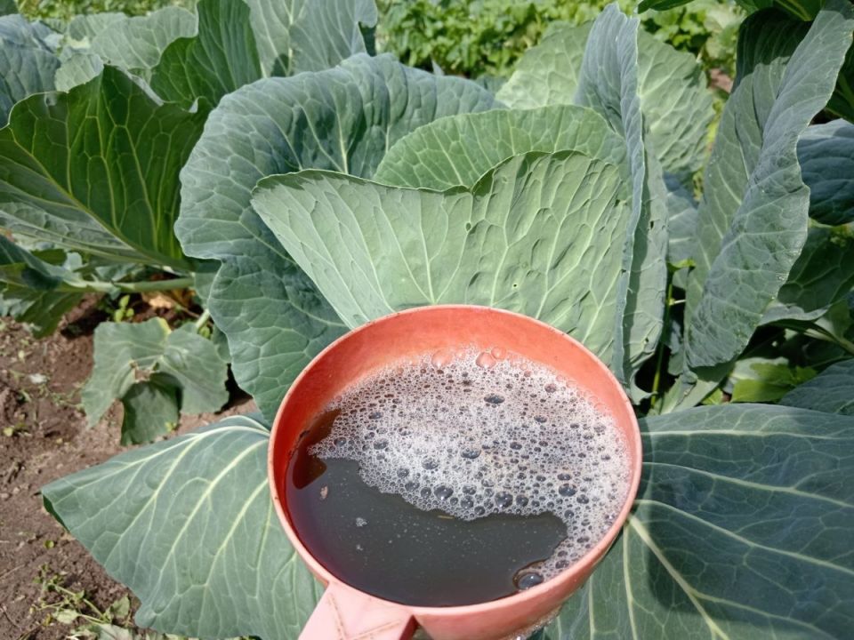 ��� ���������� ������� ��������� ������� ��� ����� � �������