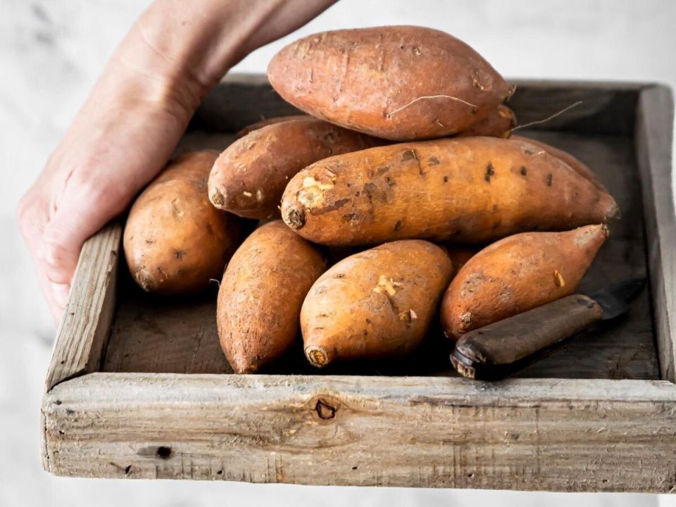 ��� ��������� �������� ������� ������: ������ ��� ��������