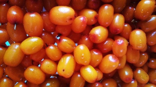 ����������� �������: ���������� ������� �� ���������� ��������� ���������