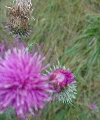 ����������: �������� �������� ��� ������ �������