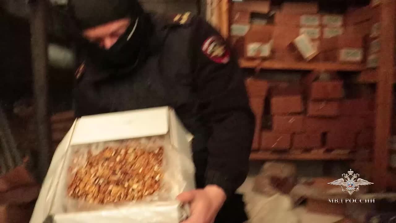 Ирина Волк: Сладкая жизнь закончилась