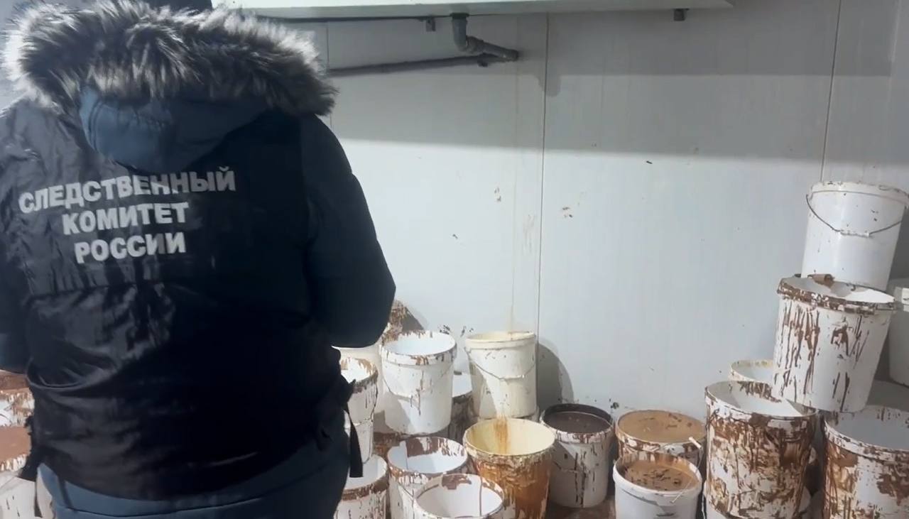 В Петушинском районе задержали участников ОПГ, которые занимались производством и продажей контрафактного шоколада известных марок В Петушинском районе задержали участников ОПГ, которые занимались производством и продажей контрафактного шоколада известных марок