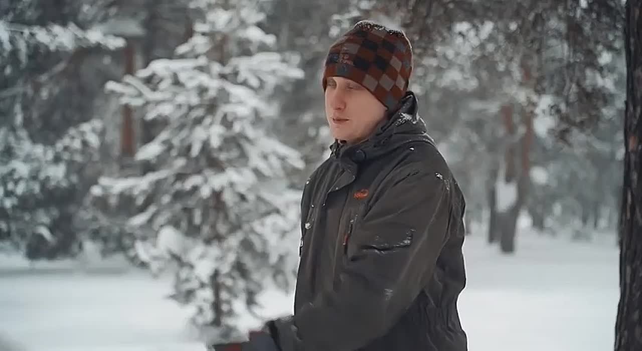 Известия. Владимир: Друзья в доме - Английский сеттер Дин