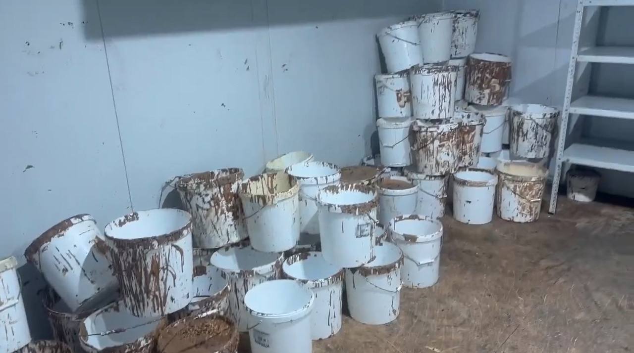 В Петушинском районе задержали участников ОПГ, которые занимались производством и продажей контрафактного шоколада известных марок В Петушинском районе задержали участников ОПГ, которые занимались производством и продажей контрафактного шоколада известных марок