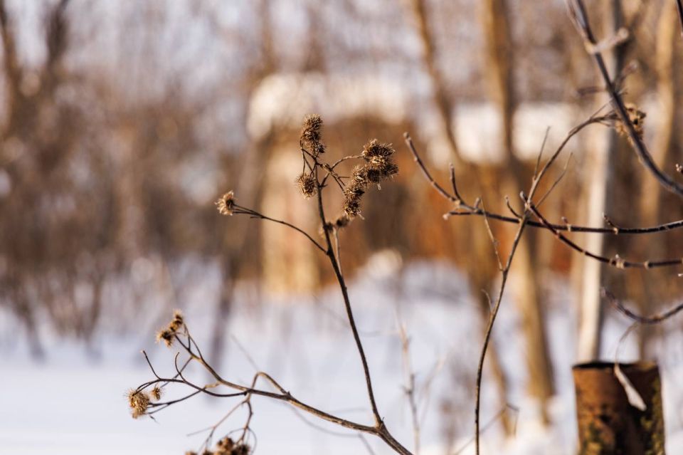 �� ���, ��� �������. ������� ������ ������, ������� �������� � ������� ������� ��� ����