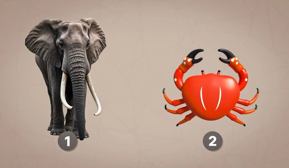 ���� �� ���������� �����: ��� �������� ����������� ����?