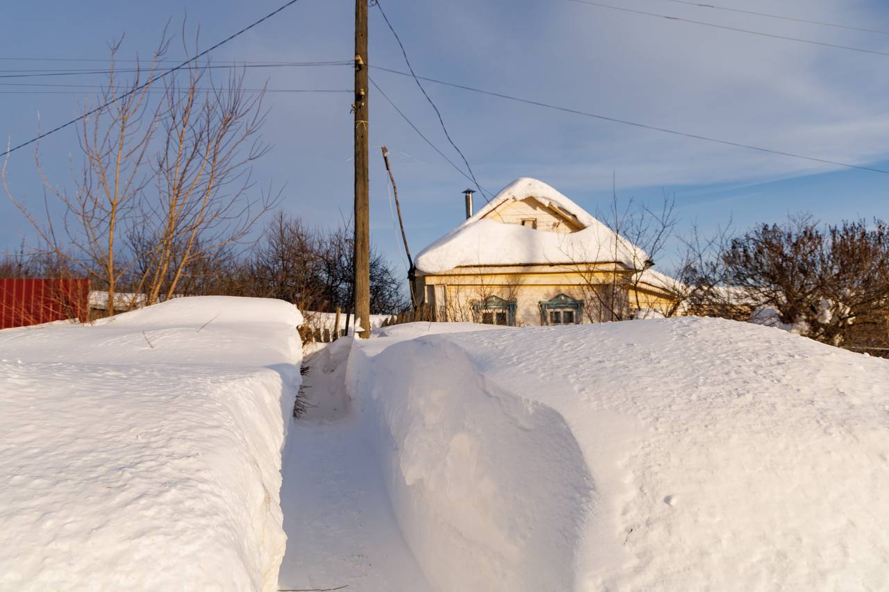Сегодня последний день зимы Сегодня последний день зимы