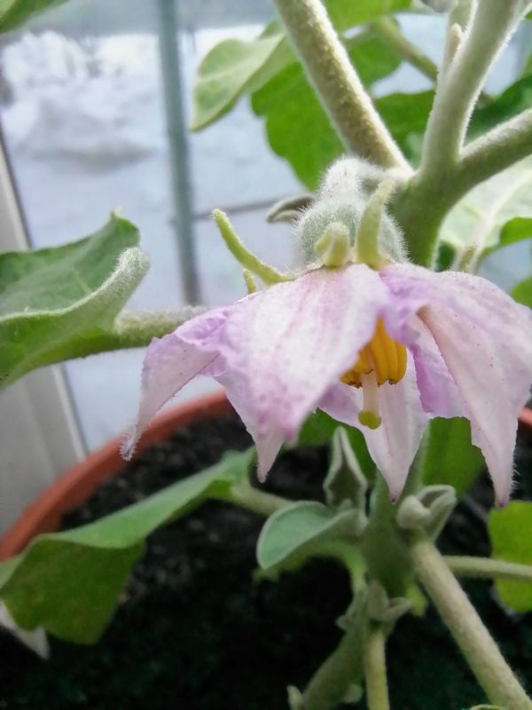 ������ ����� ������������ ������ � ����������� ����������?