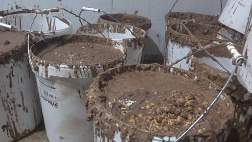 Шоколадное подполье! Во Владимирской области на этой неделе обнаружили крупнейшую нелегальную фабрику по производству сладостей