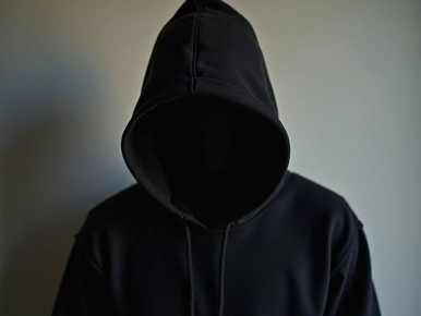 Полицейские раскрыли виновных в повреждение фасадных вывесок на улице Полины Осипенко в Владимире