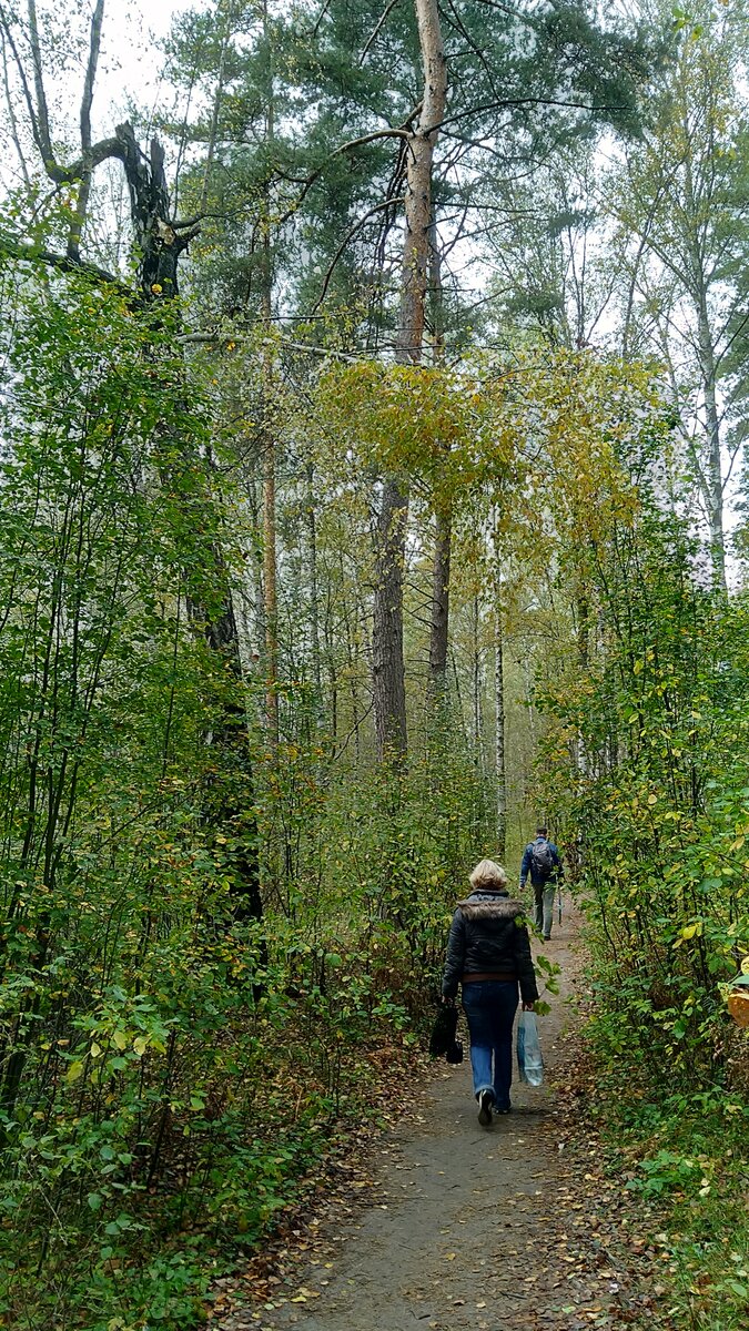 Почему дача стала спасением для городского человека?