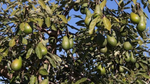 �������� �������: ������� �� ���������� � ������ ��� ��������