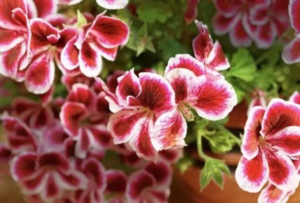 ������� ������� ������ �� ����: ��� ����� ����� ���������� ����������