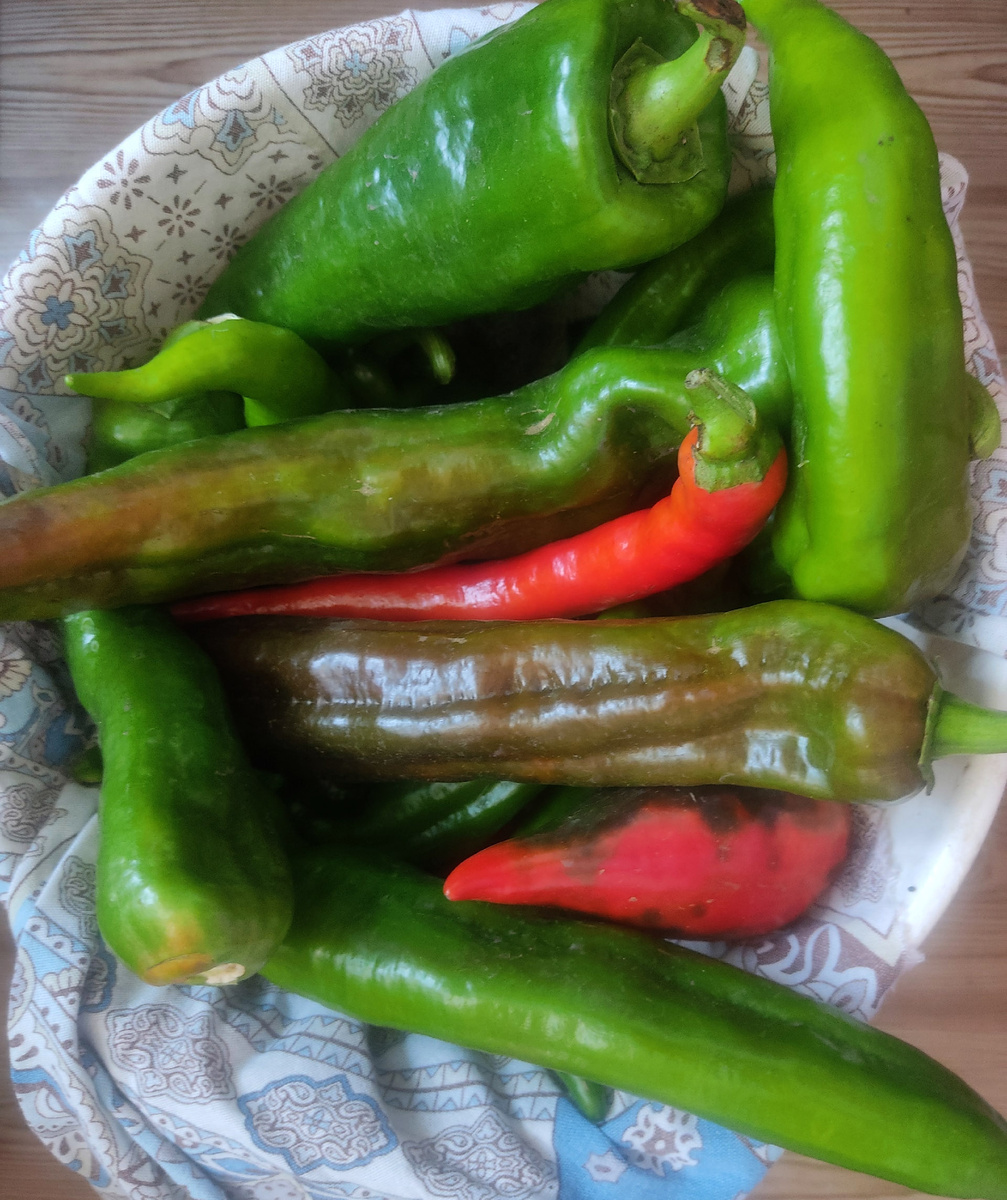 Собираем урожай: простые рецепты для приготовления перечной приправы