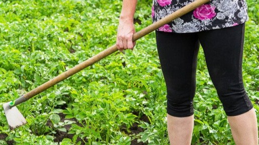 ��� ��������� ��������� ���������: ������ �� ���������� �����