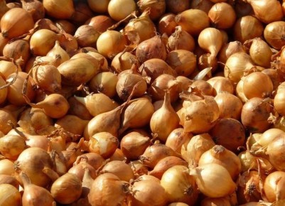 ��� ��������������� ��������� ���� ����� ��������� ������ � ��������� ���