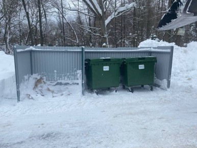 По поручению временно исполняющего полномочия главы города Сергея Волкова, коммунальные службы уделили особое внимание состоянию контейнерных площадок в частном секторе и присоединенных территориях