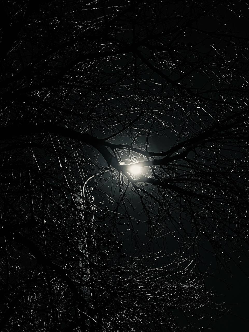 Владимирцев предупреждают о неблагоприятных погодных явлениях Владимирцев предупреждают о неблагоприятных погодных явлениях