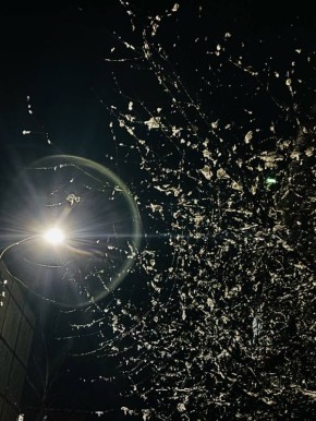 ����������� ������������� � ��������������� �������� ��������