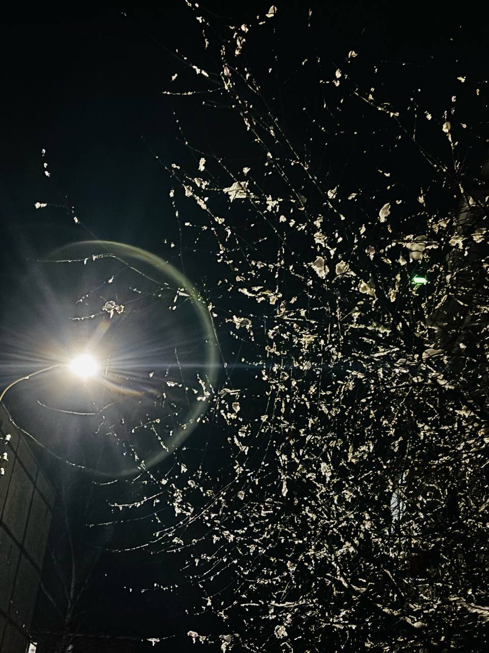 Владимирцев предупреждают о неблагоприятных погодных явлениях